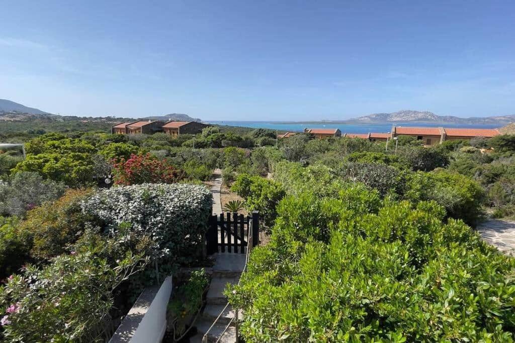 Terrazza Vista Mare Stintino Daire Dış mekan fotoğraf